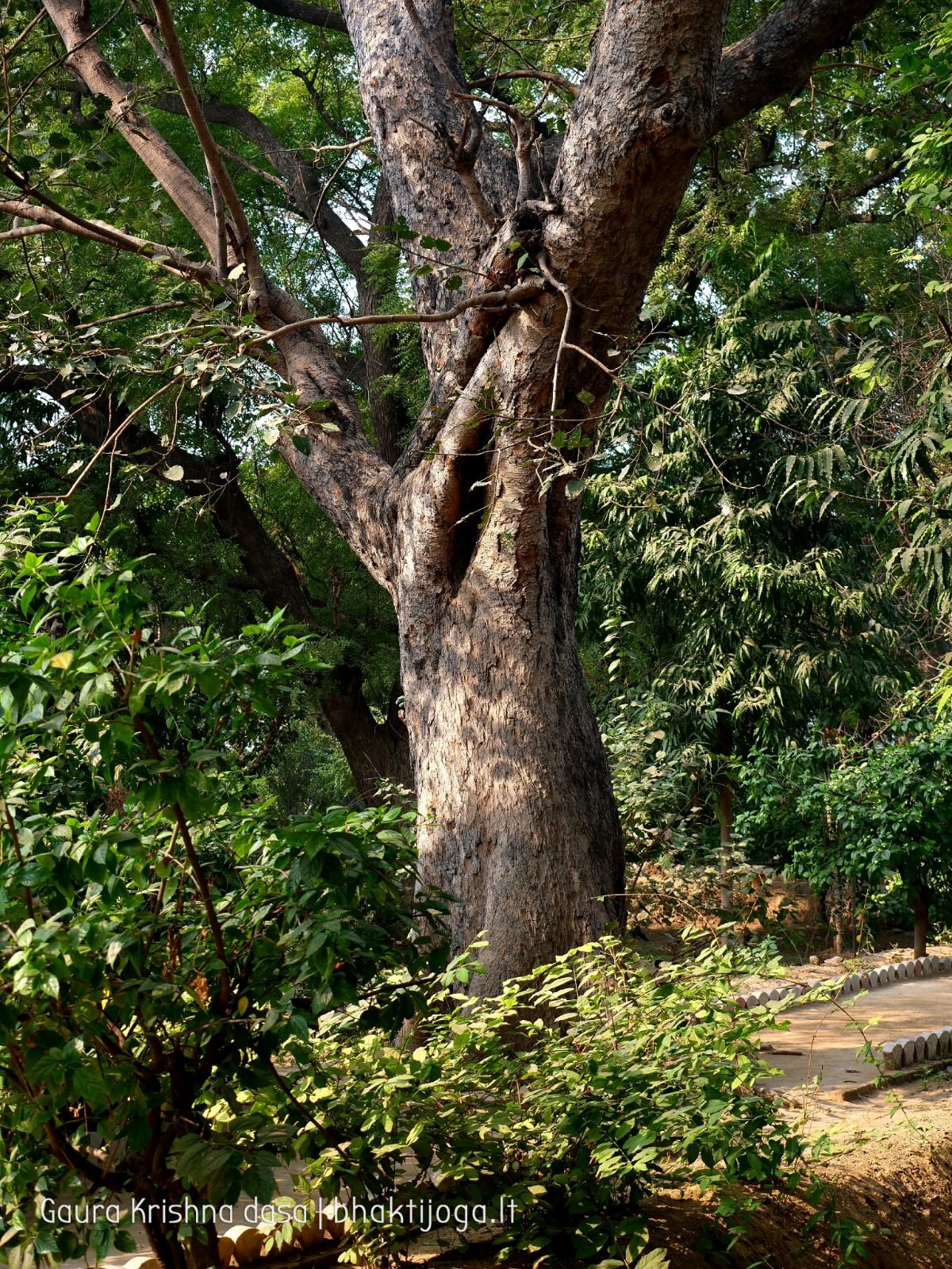 10 radhas garden varshana 2019 12 10